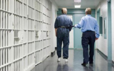 CRIMINAL LAW SCHEDULED OFFENCES