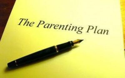 PARENTING PLAN BASICS